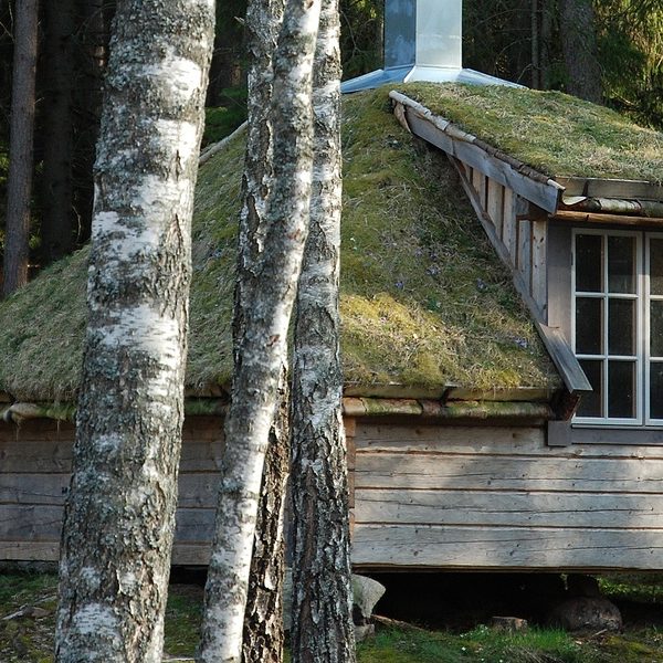 Digital Detox Urlaub Urnatur